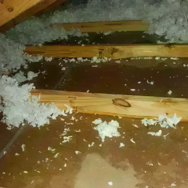 Attic Water Damage in Lily Lake, IL