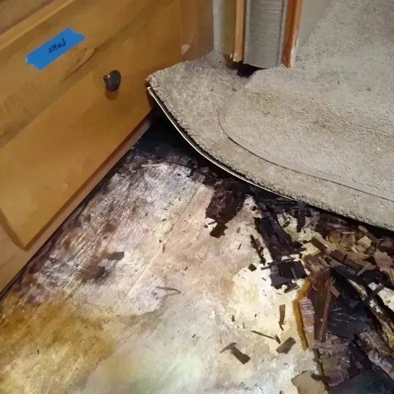 Wood Floor Water Damage in Lily Lake, IL